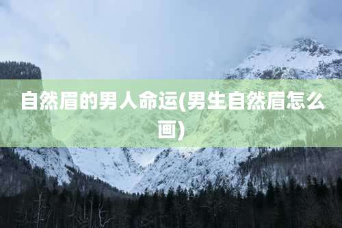 自然眉的男人命运(男生自然眉怎么画)