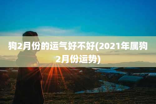 狗2月份的运气好不好(2021年属狗2月份运势)