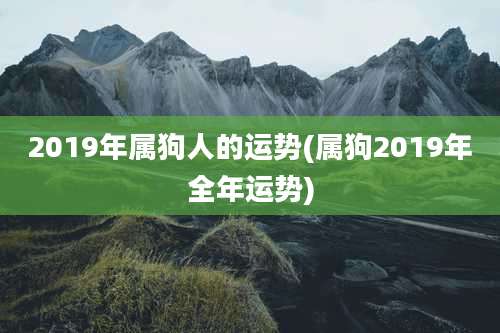 2019年属狗人的运势(属狗2019年全年运势)