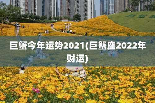 巨蟹今年运势2021(巨蟹座2022年财运)