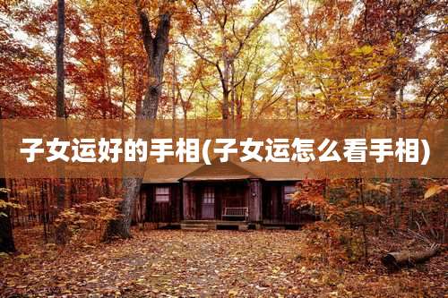 子女运好的手相(子女运怎么看手相)
