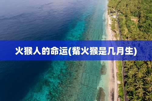 火猴人的命运(觜火猴是几月生)