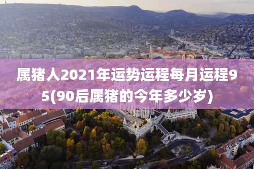 属猪人2021年运势运程每月运程95(90后属猪的今年多少岁)