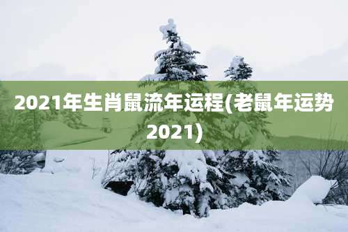 2021年生肖鼠流年运程(老鼠年运势2021)