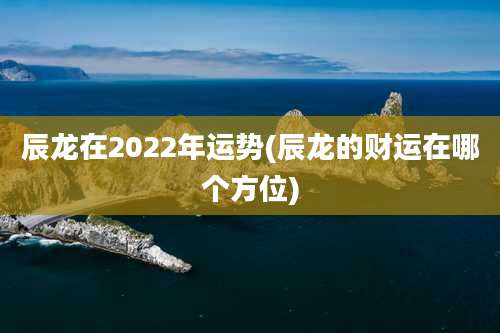辰龙在2022年运势(辰龙的财运在哪个方位)