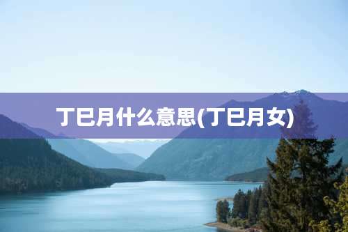 丁巳月什么意思(丁巳月女)