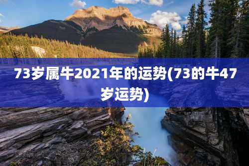 73岁属牛2021年的运势(73的牛47岁运势)