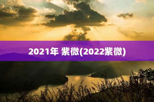 2021年 紫微(2022紫微)