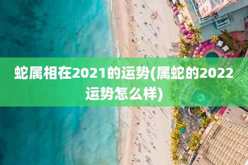 蛇属相在2021的运势(属蛇的2022运势怎么样)