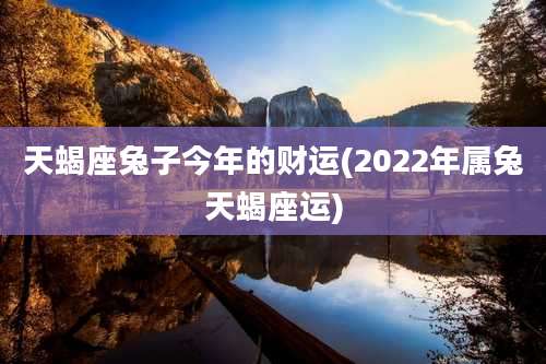 天蝎座兔子今年的财运(2022年属兔天蝎座运)