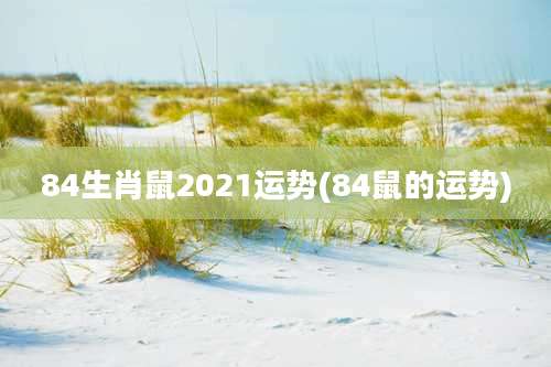 84生肖鼠2021运势(84鼠的运势)