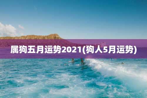 属狗五月运势2021(狗人5月运势)
