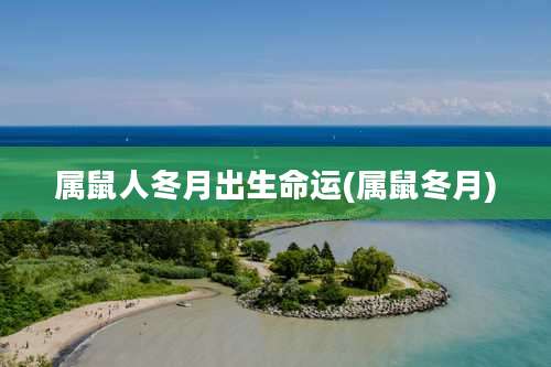 属鼠人冬月出生命运(属鼠冬月)