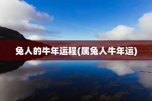 兔人的牛年运程(属兔人牛年运)