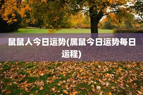 鼠鼠人今日运势(属鼠今日运势每日运程)
