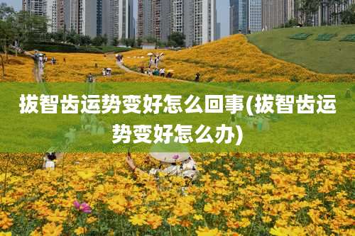 拔智齿运势变好怎么回事(拔智齿运势变好怎么办)