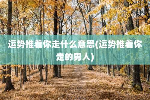 运势推着你走什么意思(运势推着你走的男人)