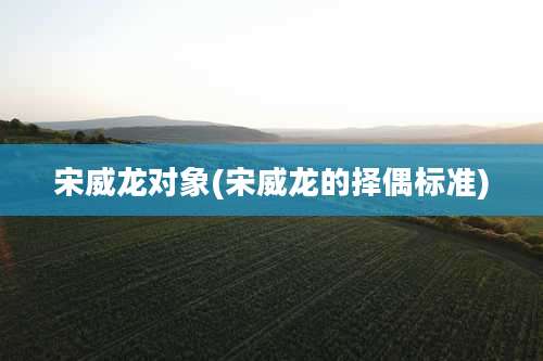 宋威龙对象(宋威龙的择偶标准)