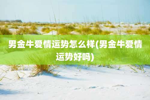 男金牛爱情运势怎么样(男金牛爱情运势好吗)