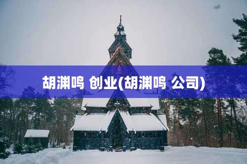 胡渊鸣 创业(胡渊鸣 公司)