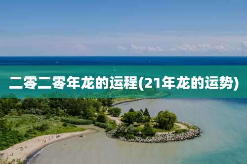 二零二零年龙的运程(21年龙的运势)