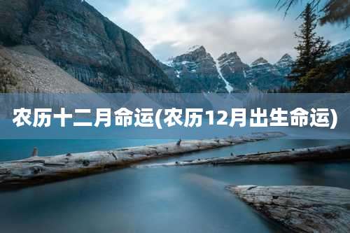 农历十二月命运(农历12月出生命运)