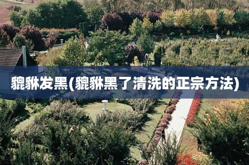貔貅发黑(貔貅黑了清洗的正宗方法)