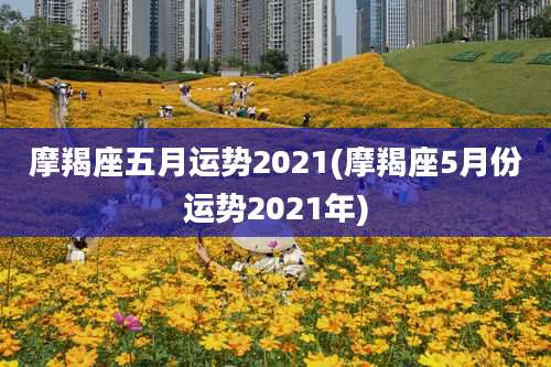 摩羯座五月运势2021(摩羯座5月份运势2021年)
