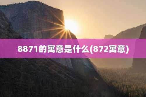 8871的寓意是什么(872寓意)