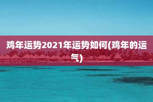 鸡年运势2021年运势如何(鸡年的运气)