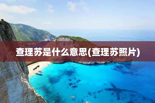 查理苏是什么意思(查理苏照片)