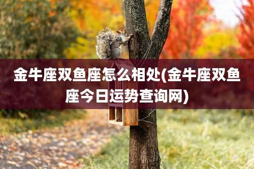 金牛座双鱼座怎么相处(金牛座双鱼座今日运势查询网)