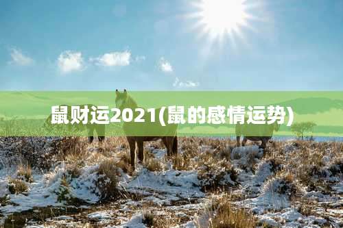 鼠财运2021(鼠的感情运势)