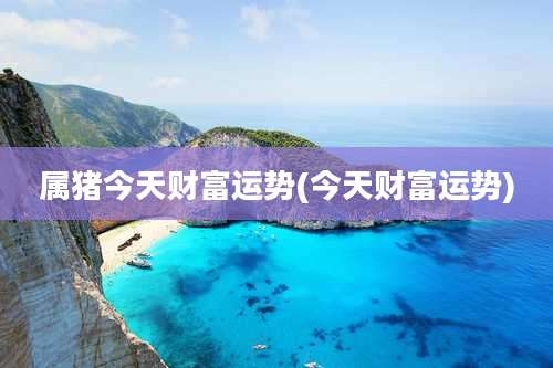 属猪今天财富运势(今天财富运势)