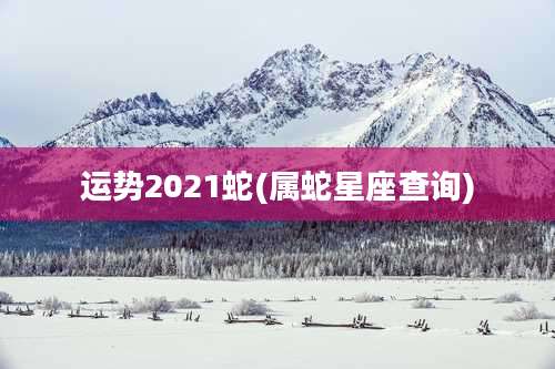 运势2021蛇(属蛇星座查询)