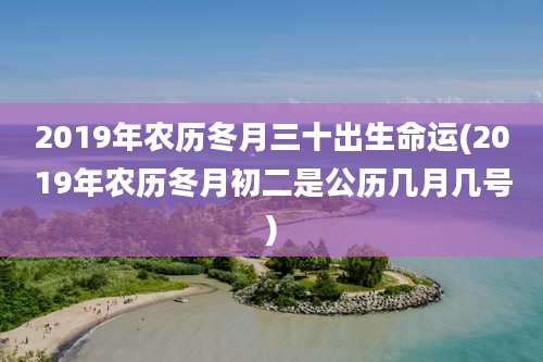 2019年农历冬月三十出生命运(2019年农历冬月初二是公历几月几号)
