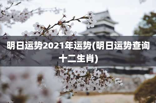 明日运势2021年运势(明日运势查询十二生肖)