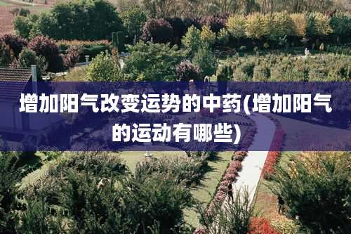 增加阳气改变运势的中药(增加阳气的运动有哪些)