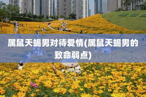 属鼠天蝎男对待爱情(属鼠天蝎男的致命弱点)