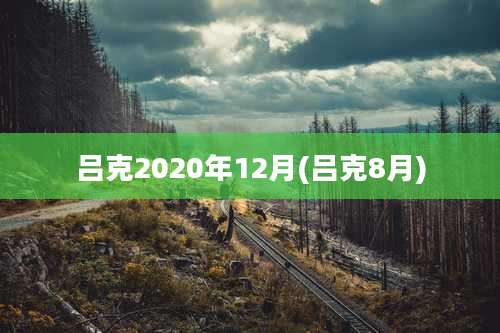 吕克2020年12月(吕克8月)