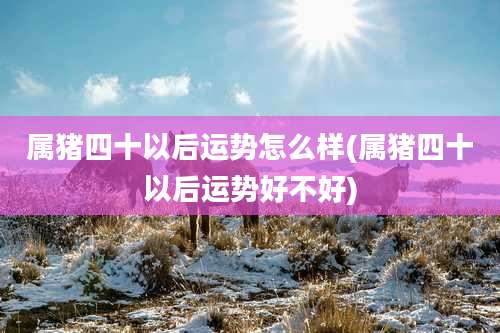 属猪四十以后运势怎么样(属猪四十以后运势好不好)