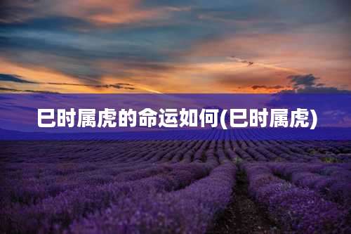 巳时属虎的命运如何(巳时属虎)