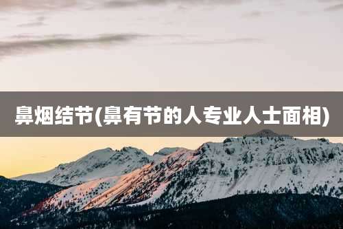 鼻烟结节(鼻有节的人专业人士面相)