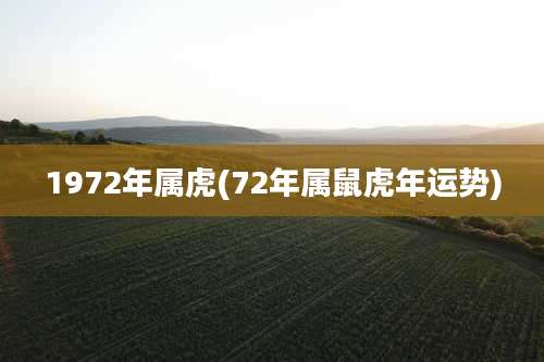 1972年属虎(72年属鼠虎年运势)