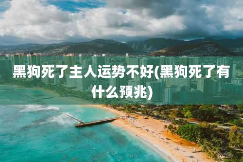 黑狗死了主人运势不好(黑狗死了有什么预兆)