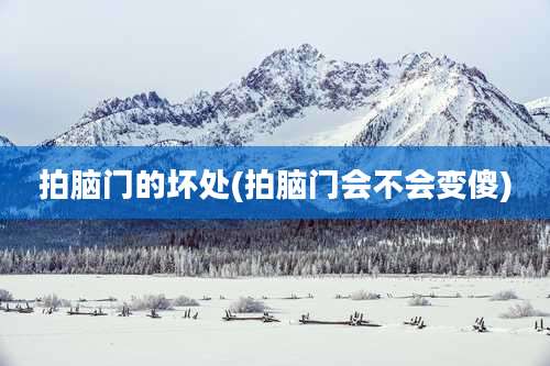 拍脑门的坏处(拍脑门会不会变傻)