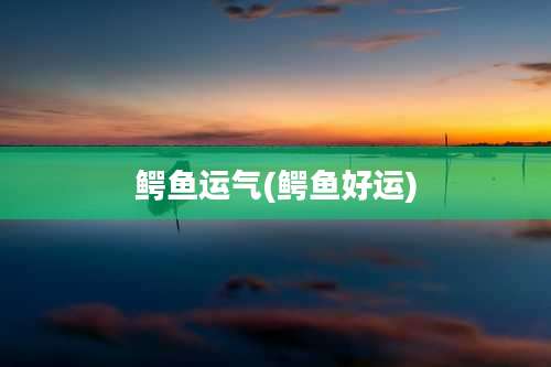 鳄鱼运气(鳄鱼好运)