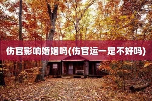 伤官影响婚姻吗(伤官运一定不好吗)