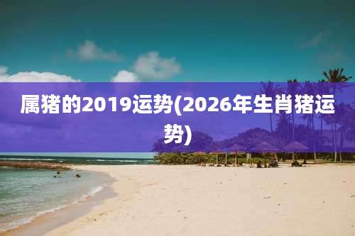 属猪的2019运势(2026年生肖猪运势)