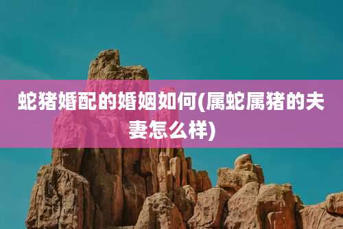 蛇猪婚配的婚姻如何(属蛇属猪的夫妻怎么样)